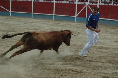 ESPECT&Aacute;CULOS TAURINOS